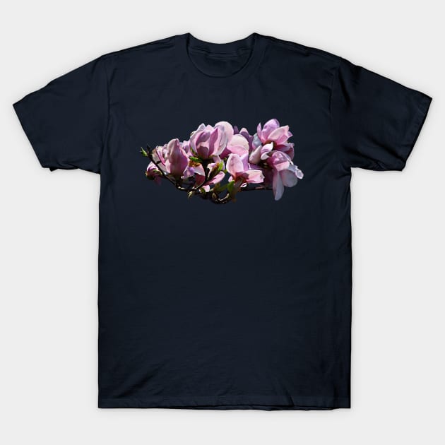 Magnolias T-Shirt by SusanSavad